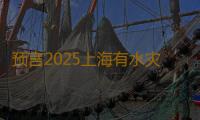 预言2025上海有水灾是真的吗